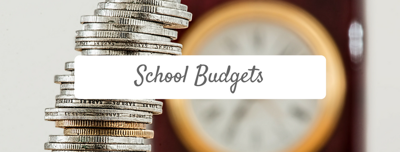BPS Budget Survey Results